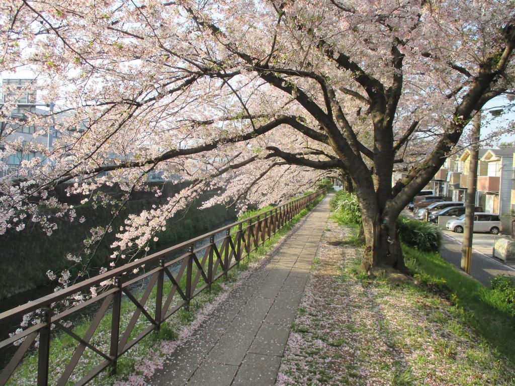 Estate Tokyu Nishikyogoku Daire Kyoto Dış mekan fotoğraf