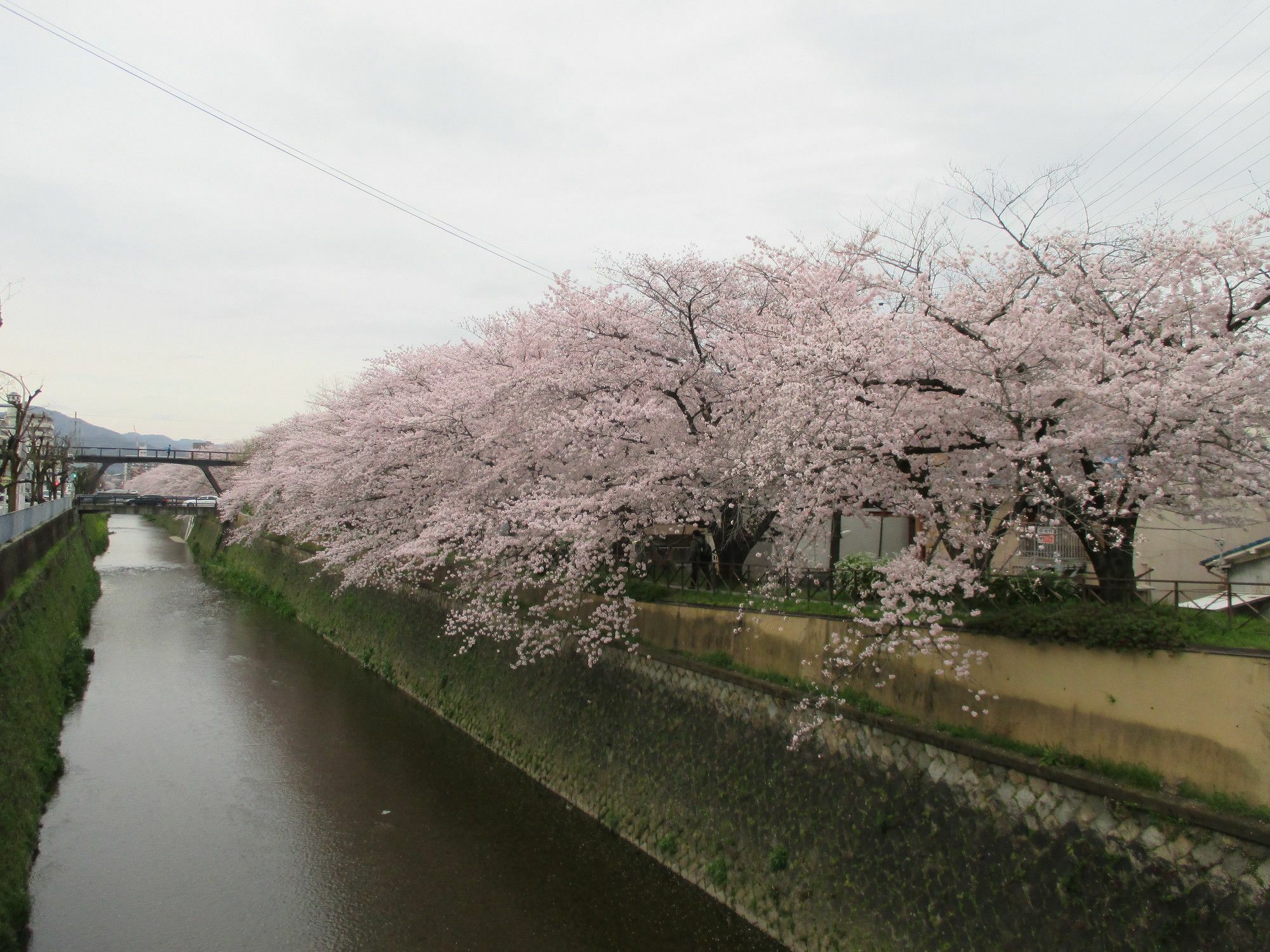 Estate Tokyu Nishikyogoku Daire Kyoto Dış mekan fotoğraf