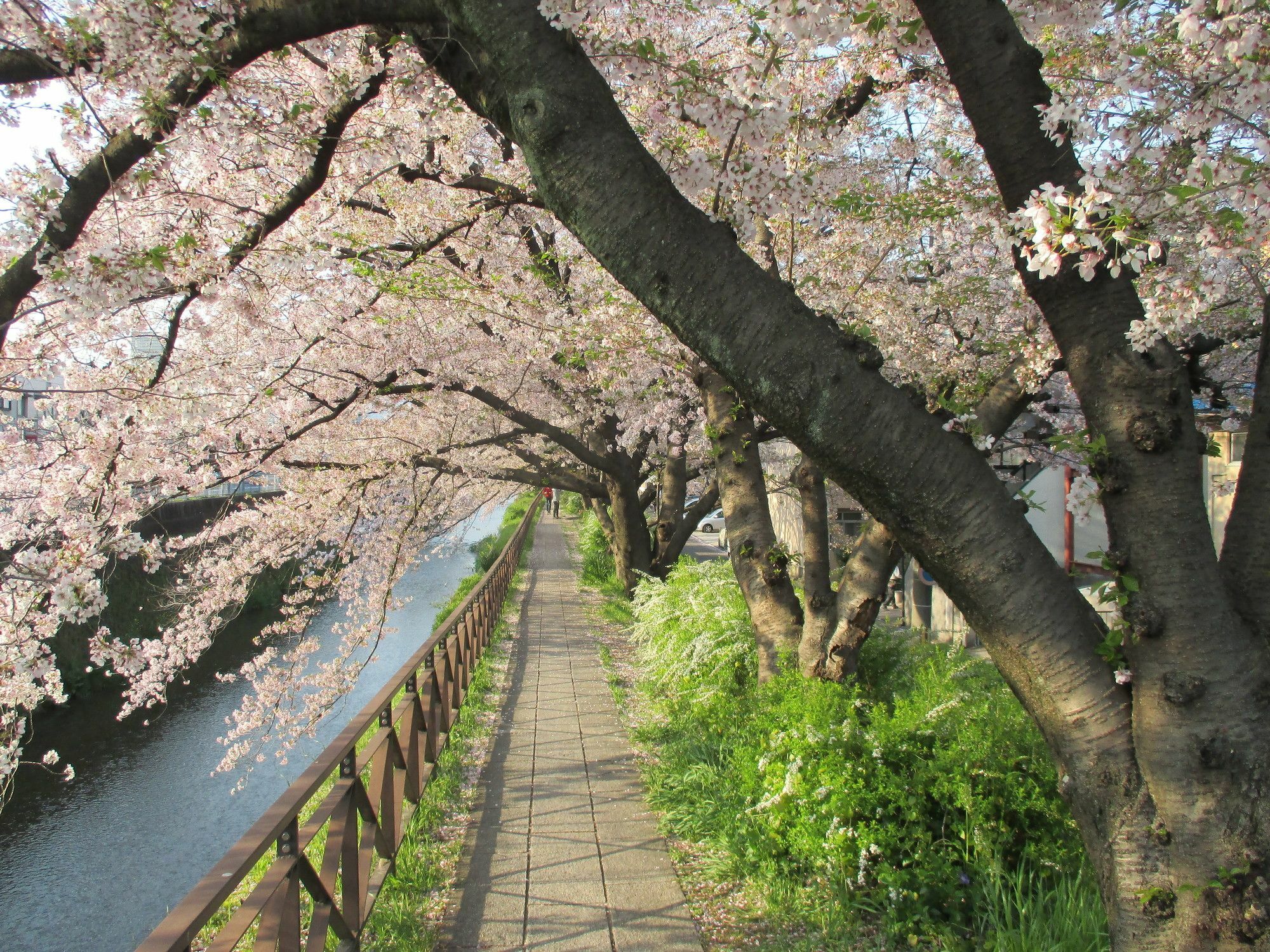 Estate Tokyu Nishikyogoku Daire Kyoto Dış mekan fotoğraf